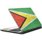 Guyana Flag Distressed Satellite L50-B / S50-B Skin